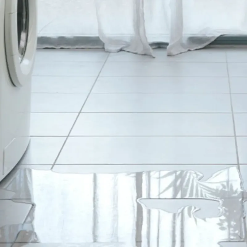 Appliance Leak Cleanup in Brunswick, ME