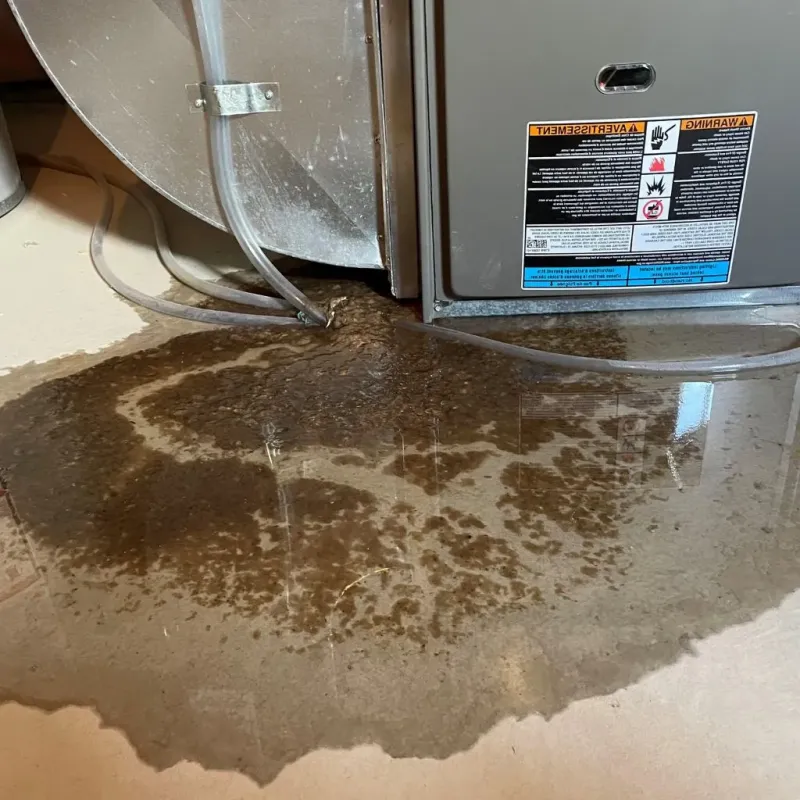 Pipe Burst and Leak Restoration in Brunswick, ME